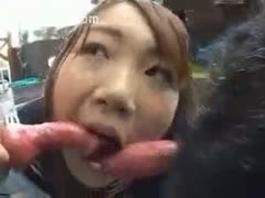 A dog and an Asian playgirl have sex.